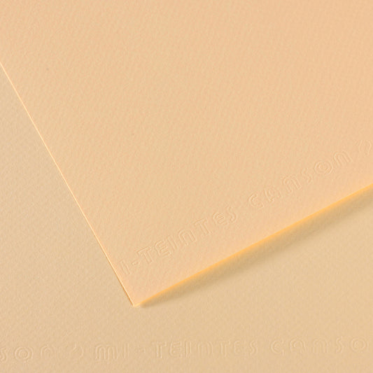 Papel Canson Mi-Teintes 111 50x65cm