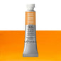 Tinta Aquarela Profissional Winsor & Newton 5ml S1