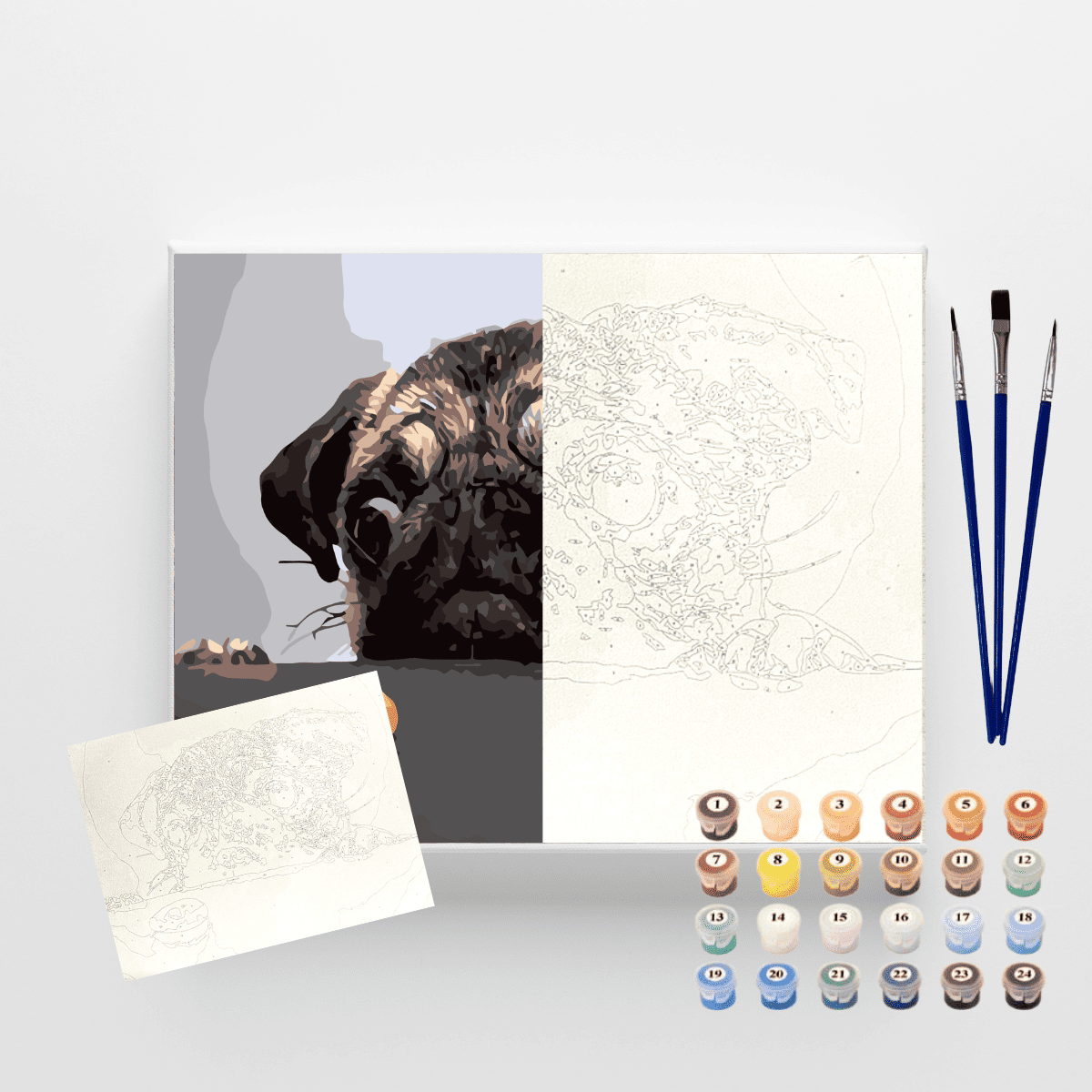 Conjunto Pintura Numerada Arte Terapia 40X50cm Meu Pug