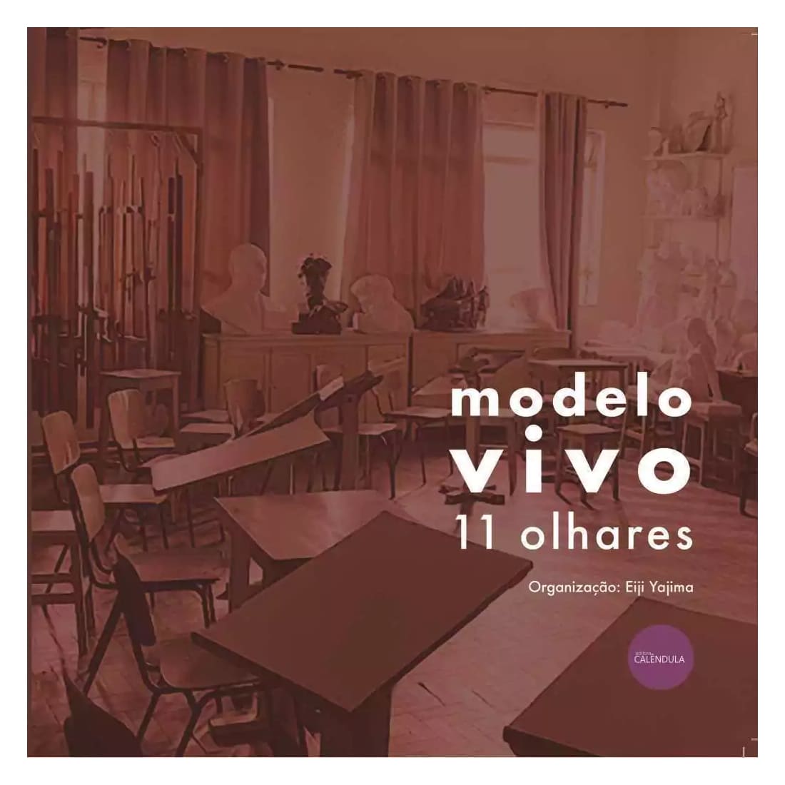 Livro Modelo Vivo 11 Olhares