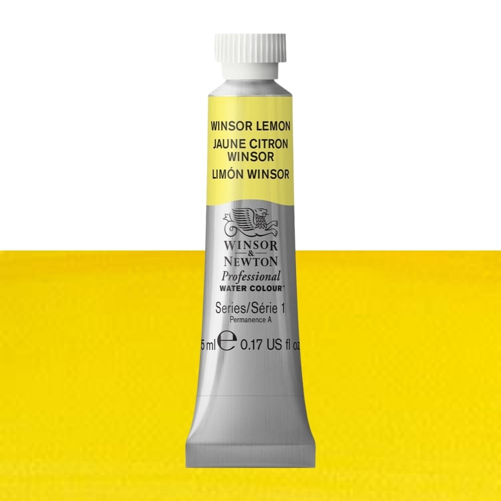 Tinta Aquarela Profissional Winsor & Newton 5ml S1