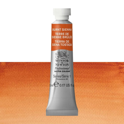 Tinta Aquarela Profissional Winsor & Newton 5ml S1