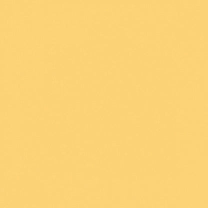 Tinta Acrílica Spray Liquitex 400ml 6163 Cadmium Yellow Deep Hue 6