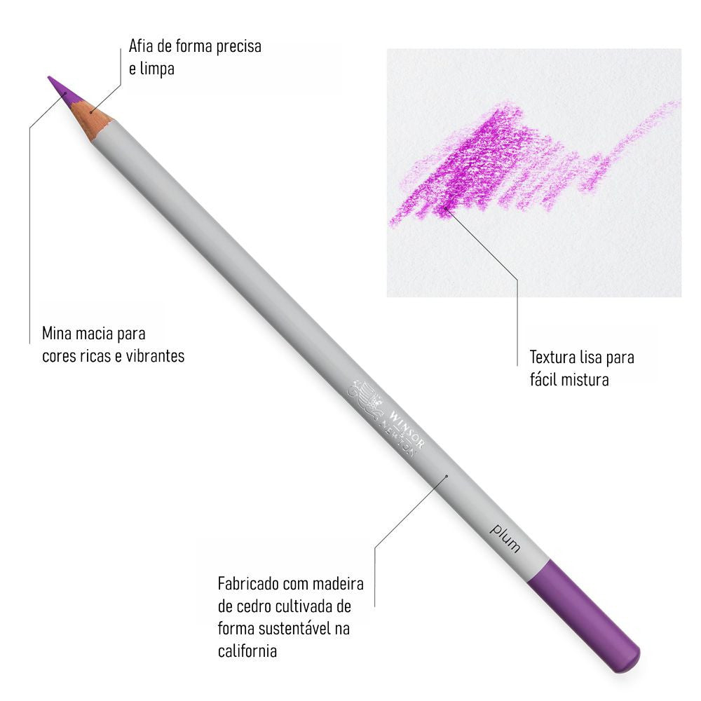 Lápis de Cor Winsor & Newton Studio Collection 12 Cores