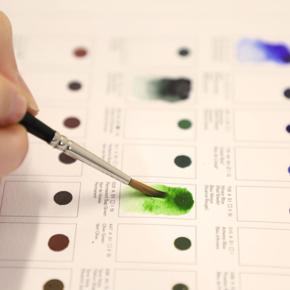 Cartela de Cores Aquarela Winsor & Newton Profissional 