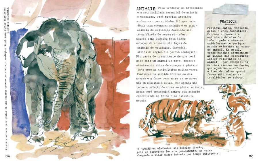 Aquarela na Prática - Materiais, Técnicas e Projetos