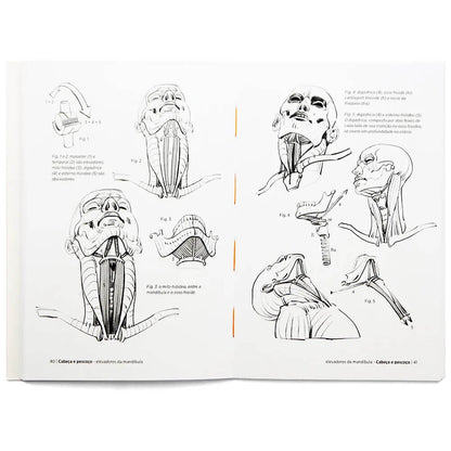 Anatomia Artística 5 