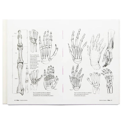 Anatomia Artística 6 - Michel Lauricella