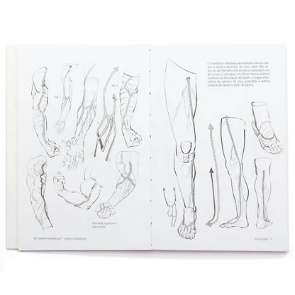 Anatomia Artística 7