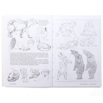 Anatomia Artística 9 Mamíferos - Editora Olhares - Michel Lauricella
