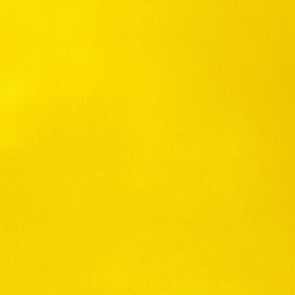 Tinta Acrílica Liquitex Basics Fluída 118ml Cadmium Yellow Medium Hue