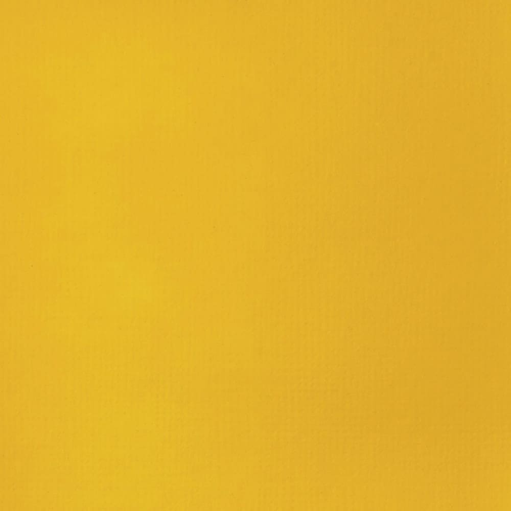 Tinta Acrílica Liquitex Basics Fluída 118ml Cadmium Yellow Deep Hue
