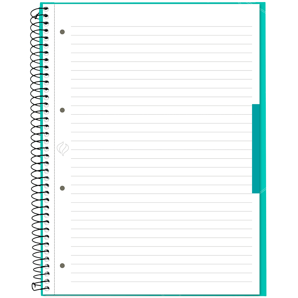 Caderno Universitário Canson A4 80 Folhas - Verde