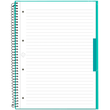 Caderno Universitário Canson A4 80 Folhas - Verde