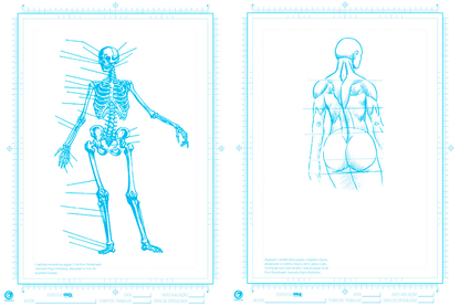 Caderno de Exercícios Desenhando Anatomia
