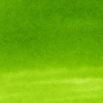 Caneta Pincel Kuretake Zig Clean Color Real Brush Leaf Green 410