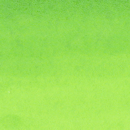 Caneta Pincel Kuretake Zig Clean Color Real Brush Lime Green 409