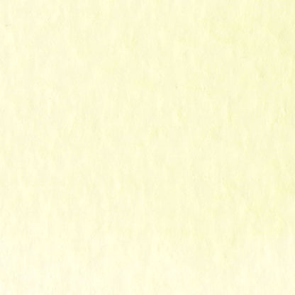 Caneta Pincel Kuretake Zig Clean Color Real Brush Pale Lemon 506