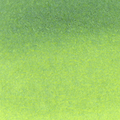 Caneta Pincel Kuretake Zig Clean Color Real Brush Sage Green 406