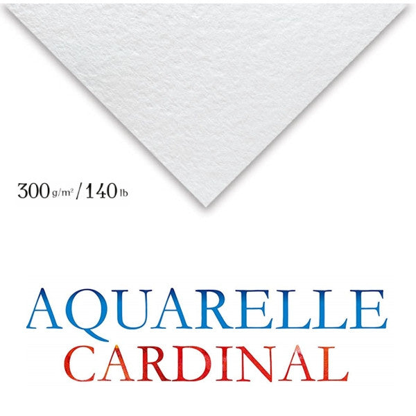 Papel Para Aquarela Cardinal 50x65cm 300g/m² Clairefontaine
