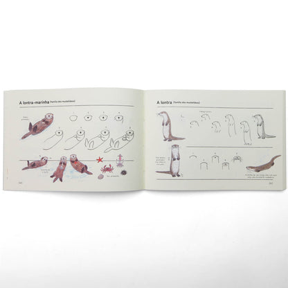 Como Desenhar Animais - Editora Olhares - Ai Akikusa