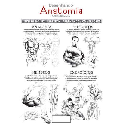 Desenhando Anatomia Figura Humana - Eduardo Schloesser