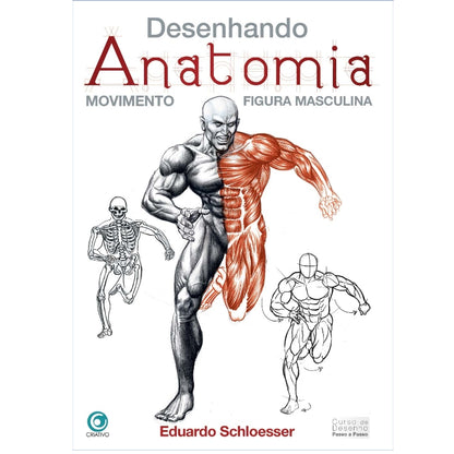 Desenhando Anatomia Movimento Figura Masculina