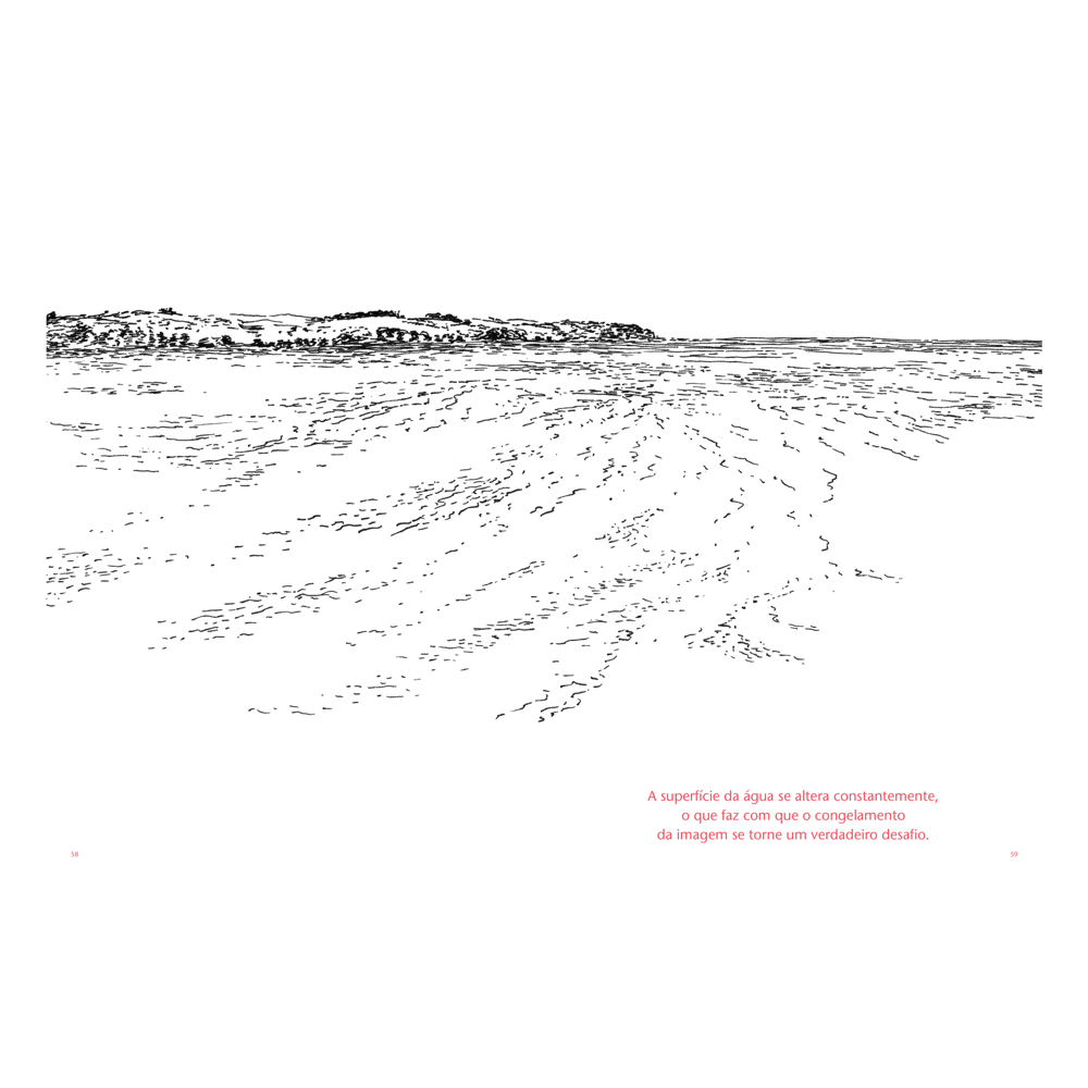 Desenhar o Movimento - Peter Boerboom e Tim Proetel