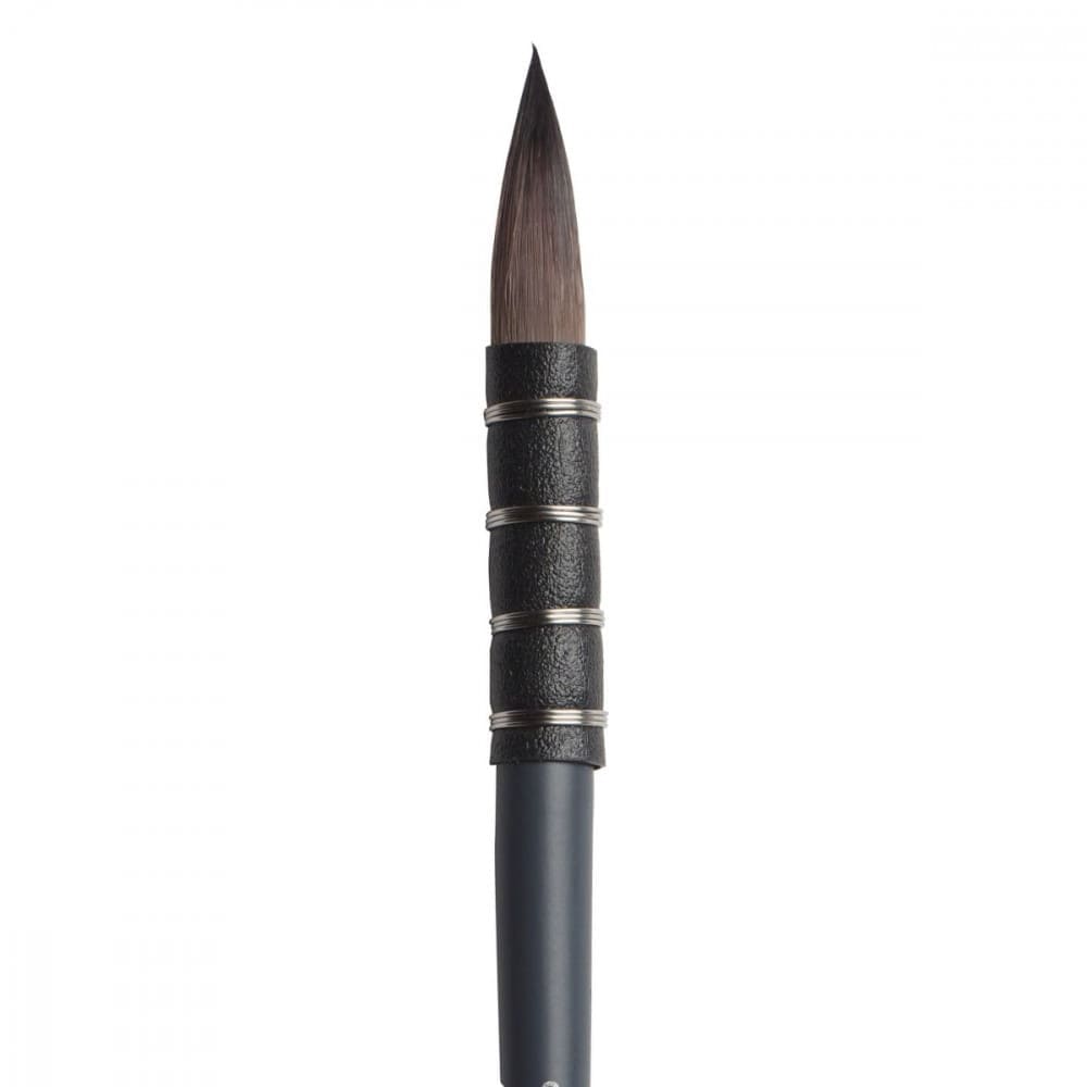 Pincel Winsor & Newton Professional Watercolor Squirrel 00