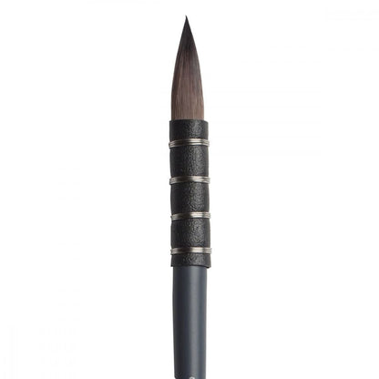 Pincel Winsor & Newton Professional Watercolor Squirrel 00
