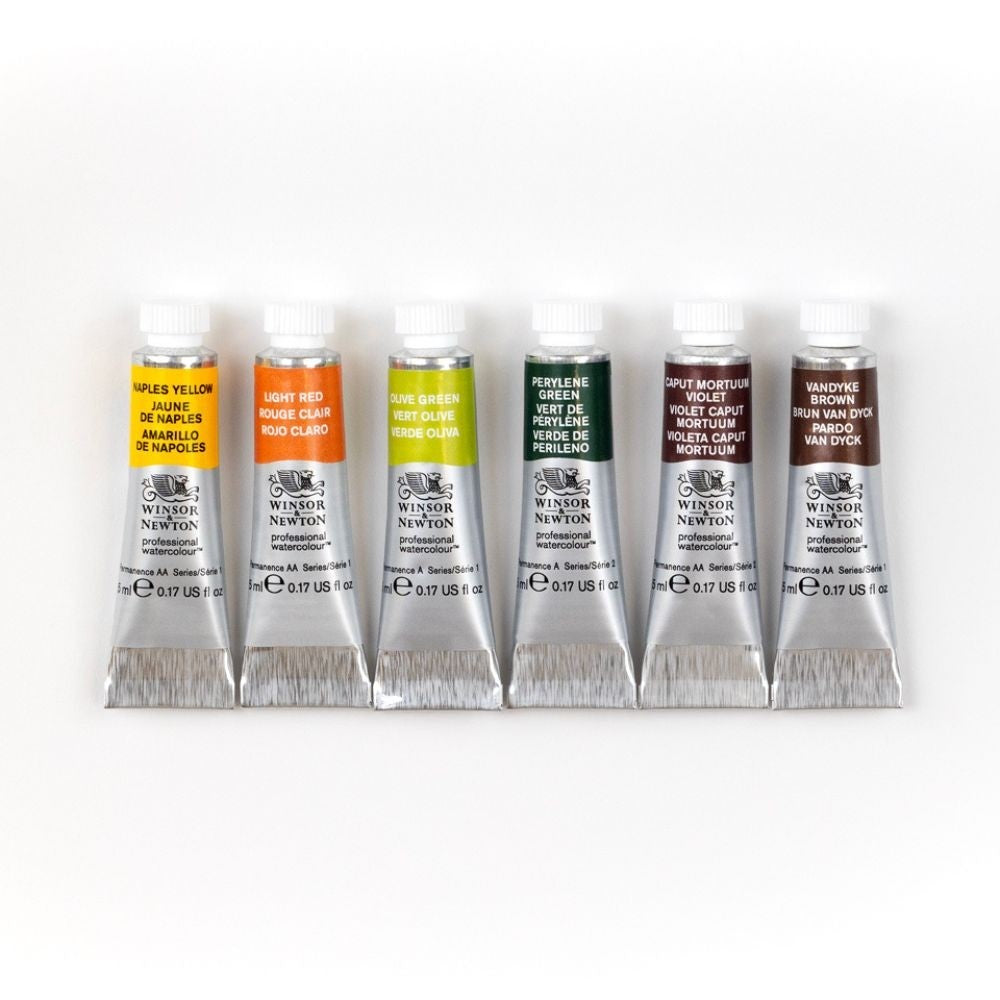 Aquarela Winsor & Newton Profissional C/6 Tubos Edição Rich Earth Collection