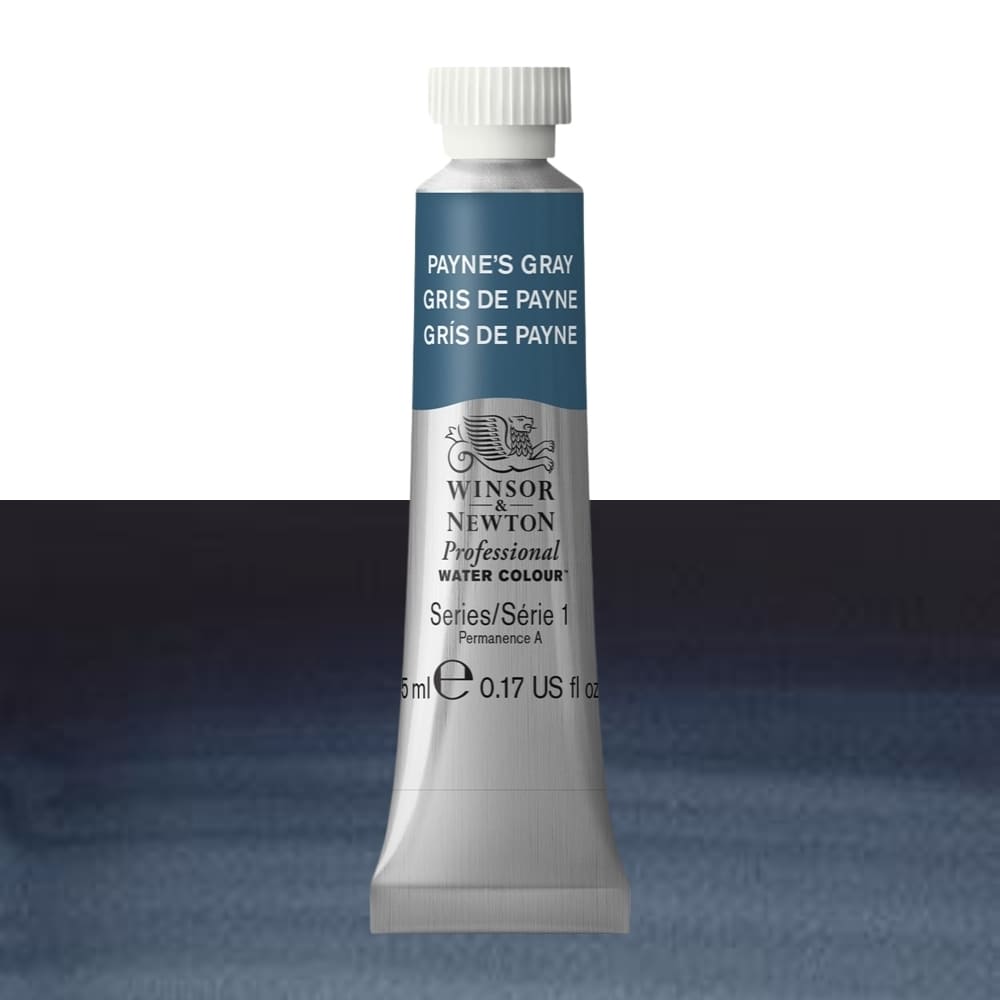 Tinta Aquarela Profissional Winsor & Newton 5ml S1