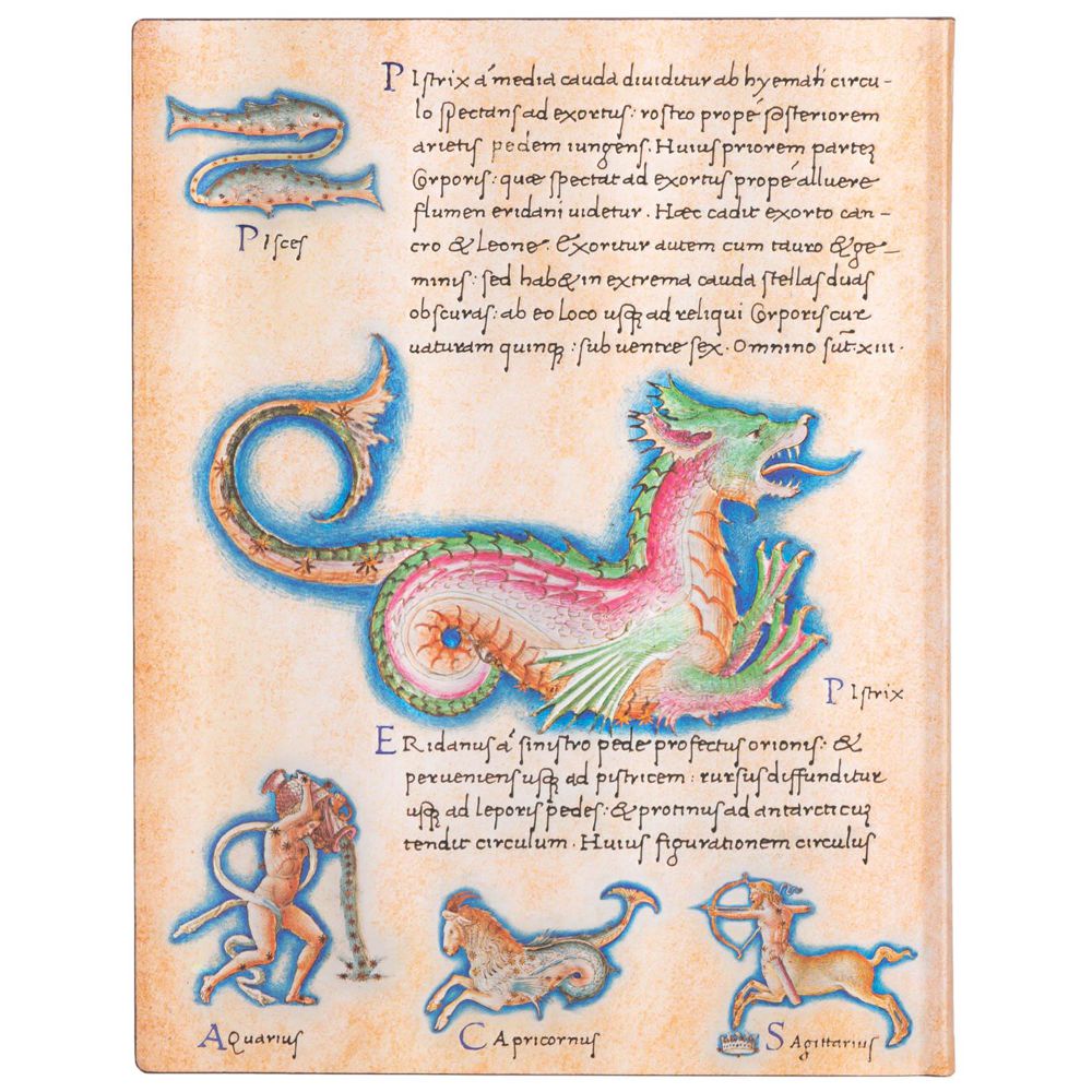 Paperblanks Flexis Astronomica Ultra Pautado