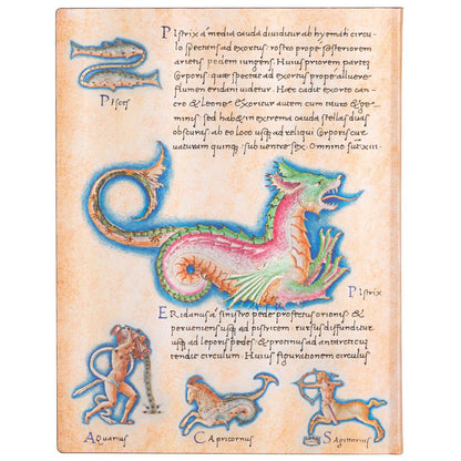 Paperblanks Flexis Astronomica Ultra Pautado