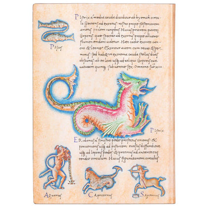 Paperblanks Flexis Astronomica Midi Pautado
