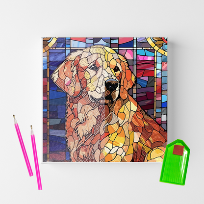 Conjunto Pintura Diamante Sinoart 30X30cm  Golden