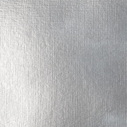 Tinta Acrílica Liquitex Basics Fluída 118ml Silver 