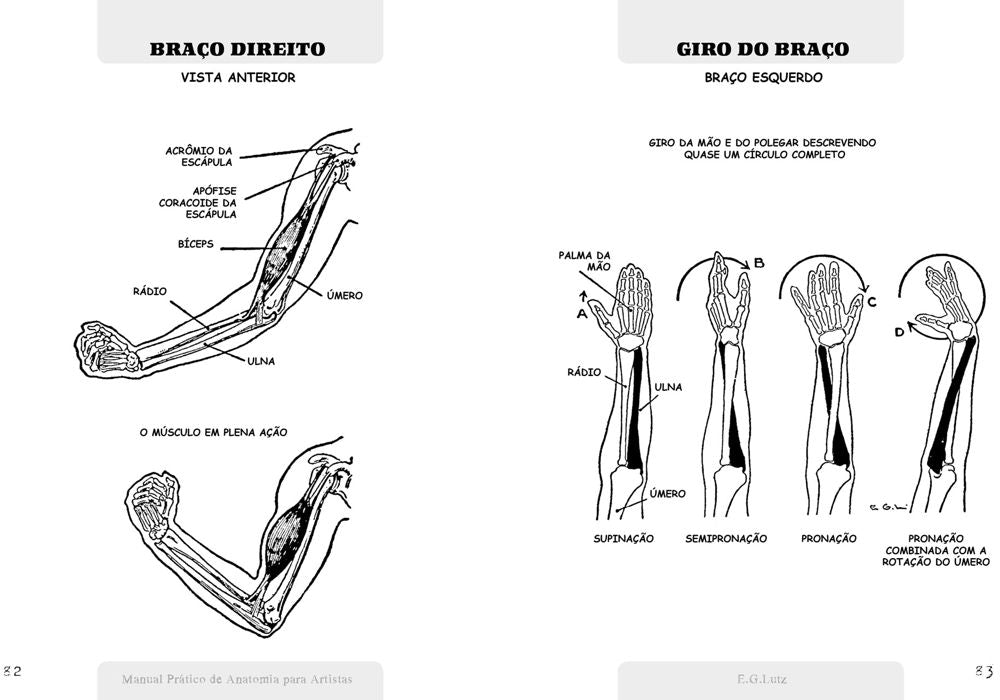 Manual Prático de Anatomia Para Artistas