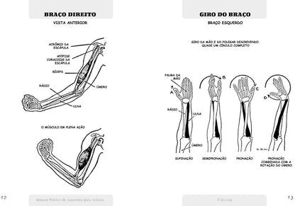 Manual Prático de Anatomia Para Artistas