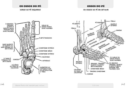 Manual Prático de Anatomia Para Artistas