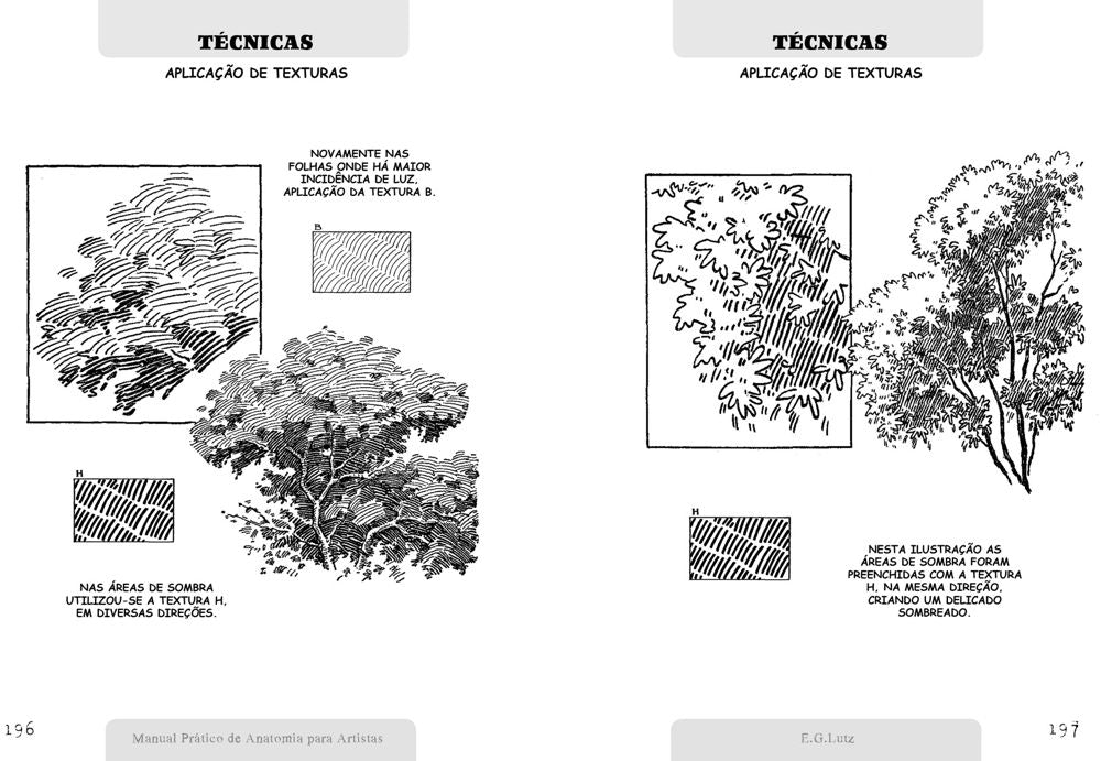 Manual Prático de Anatomia Para Artistas