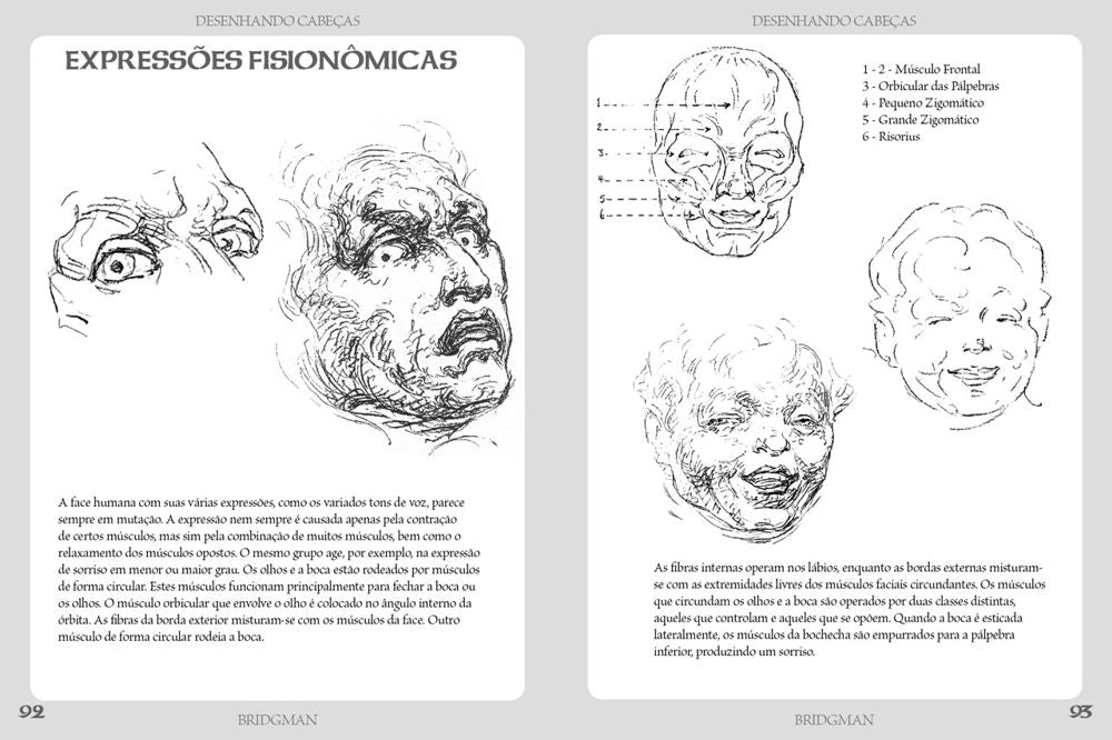 Desenhando Cabeças - Masculina, Feminina e Infantil