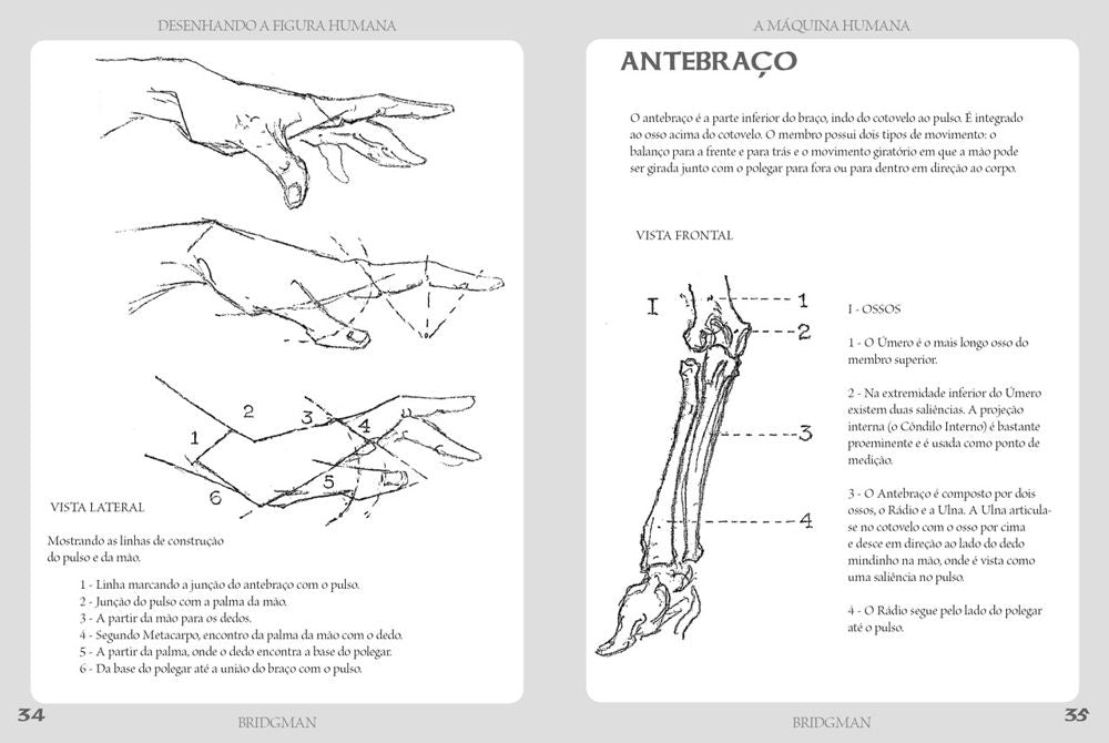 Desenhando a Figura Humana - A Máquina Humana