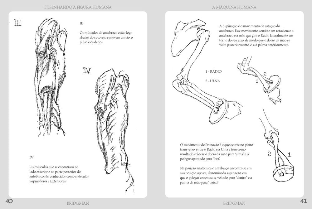 Desenhando a Figura Humana - A Máquina Humana