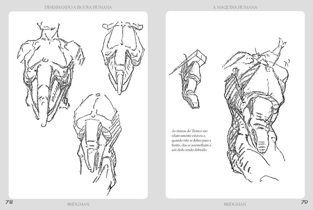 Desenhando a Figura Humana - A Máquina Humana