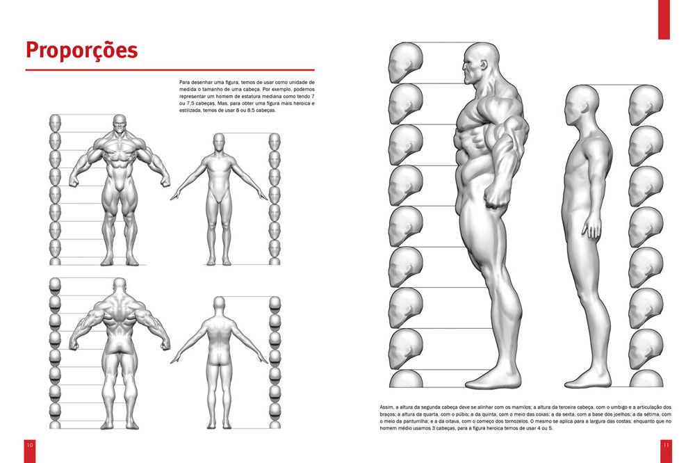 Anatomia dos Super-Heróis
