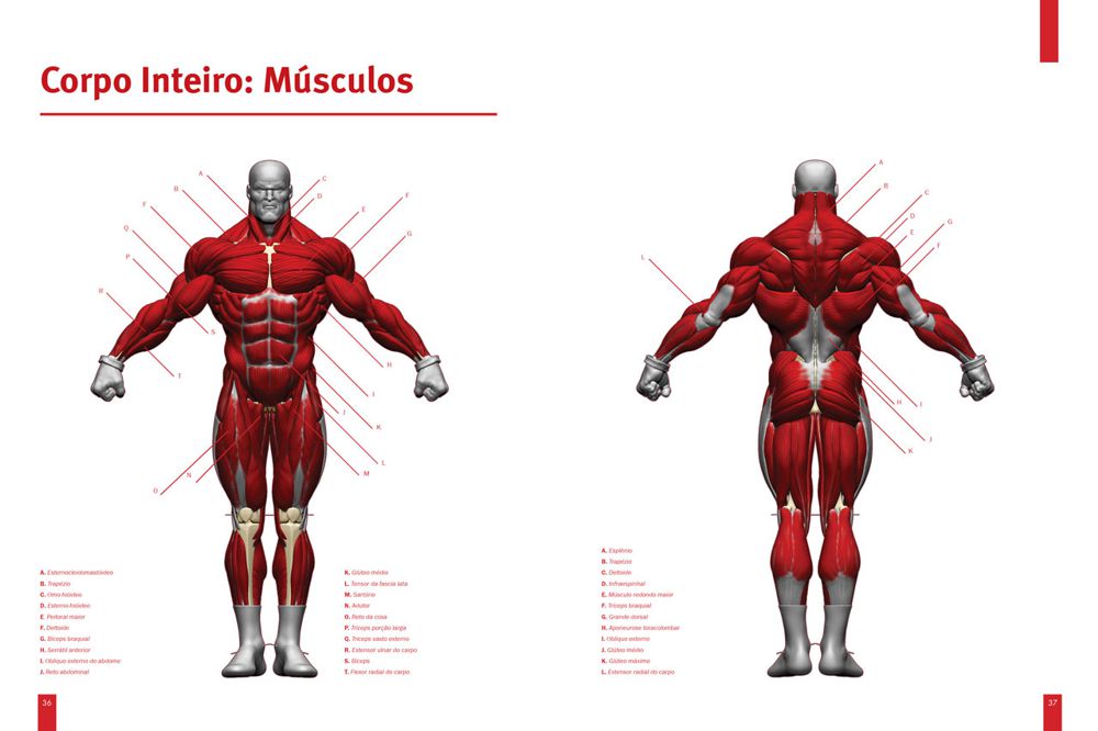 Anatomia dos Super-Heróis