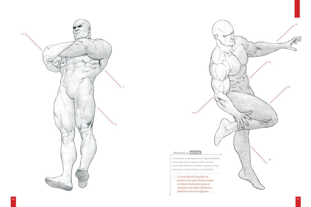 Anatomia dos Super-Heróis