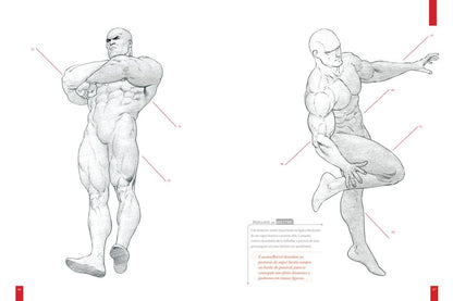 Anatomia dos Super-Heróis