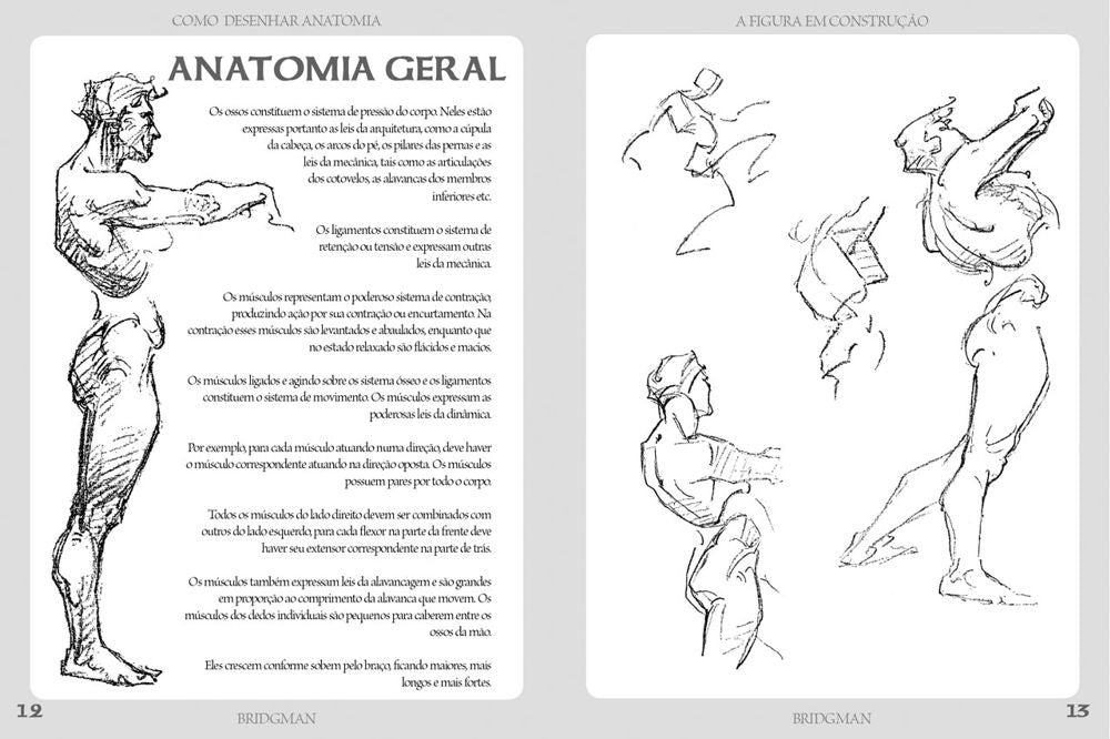 Como Desenhar Anatomia - A Figura em Construção